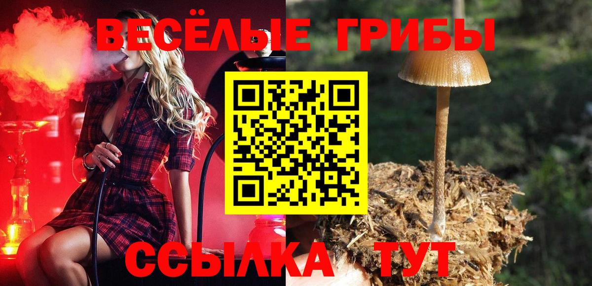 Шали  Галлюциногенные грибы мицелий  Вход с VPN 
